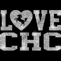 GLT51 SILVER GLITTER Thumbnail